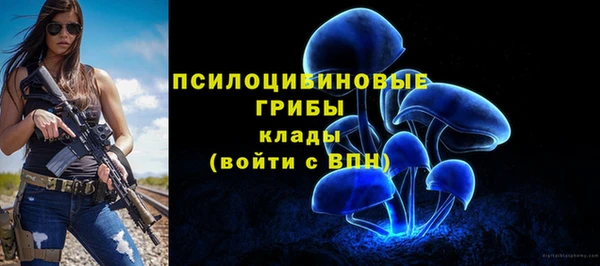 кокс Аркадак